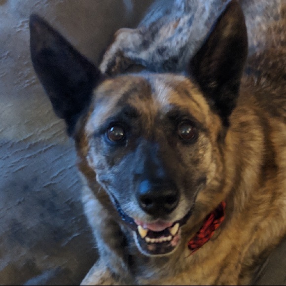 Meet your Posher, Marilyn - Picture 1 of 1